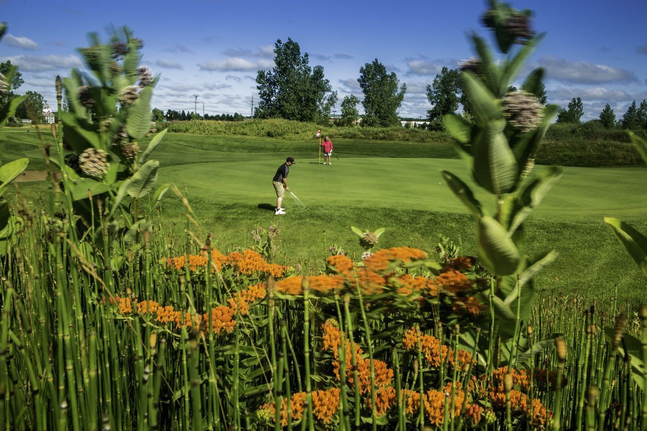 Home Boulder Pointe Golf Club